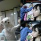Lee Ju Young (yeriel35) Korean girl with a super bust to make netizens crazy (54 photos) P28 No.cda2ec
